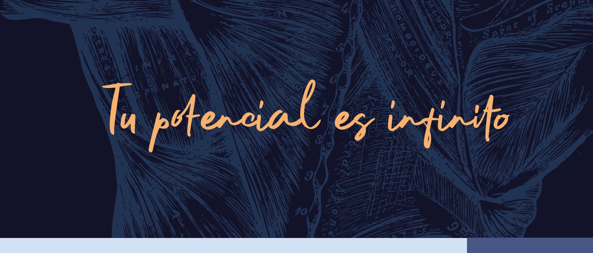 banner tu potencial